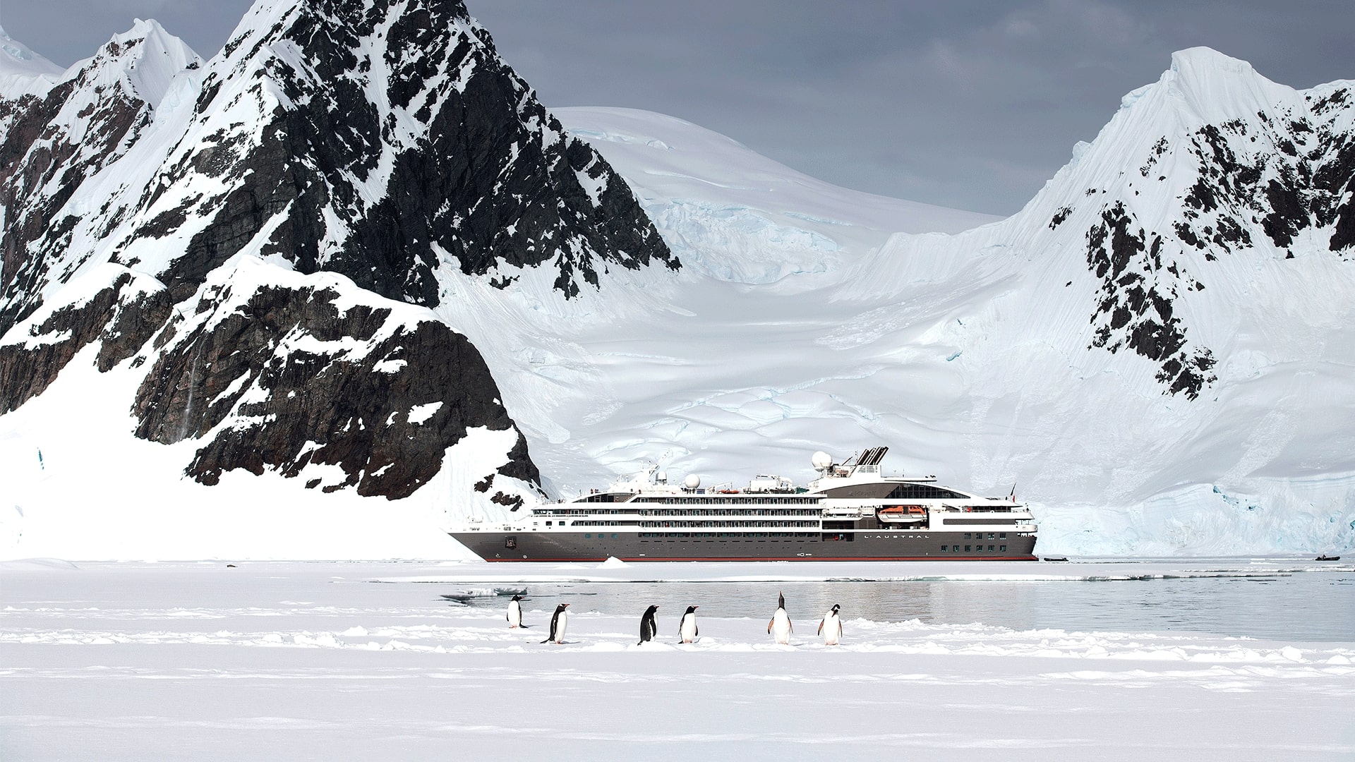 Read more about the article Cruising Antarctica responsibly