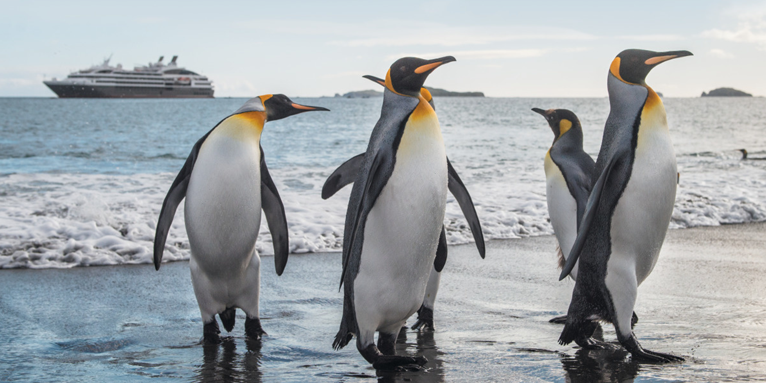Read more about the article Reasons to visit Antarctica with The Q Experiences