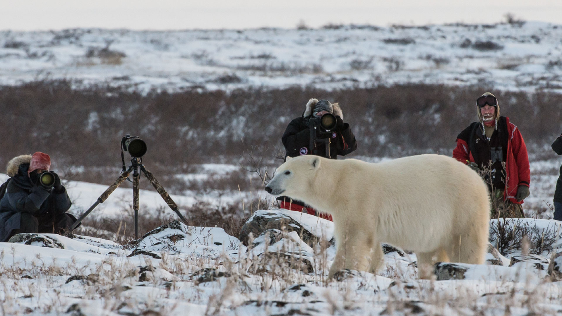 Photography-in-the-Artic-01-1