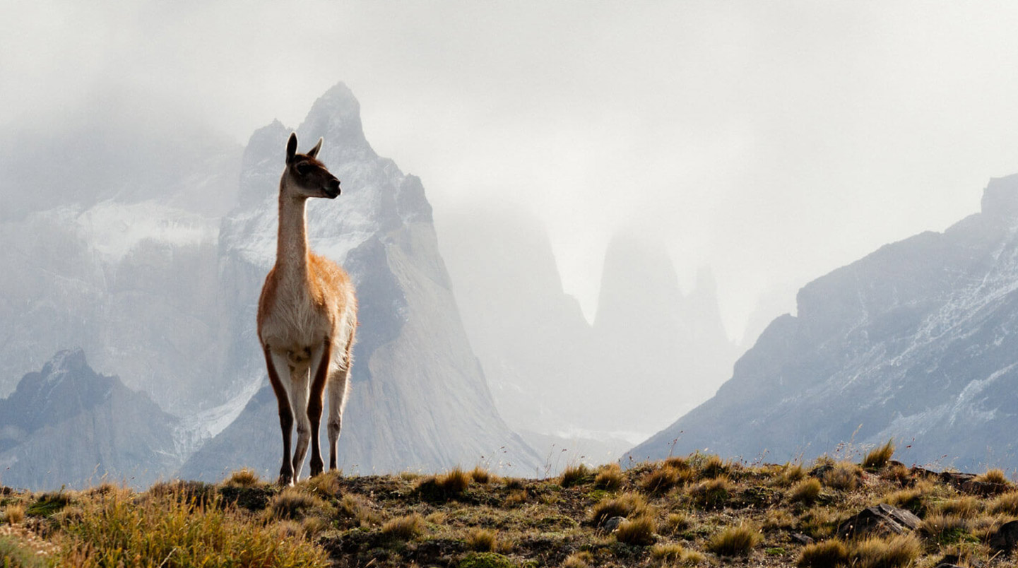 patagonia-slider-3