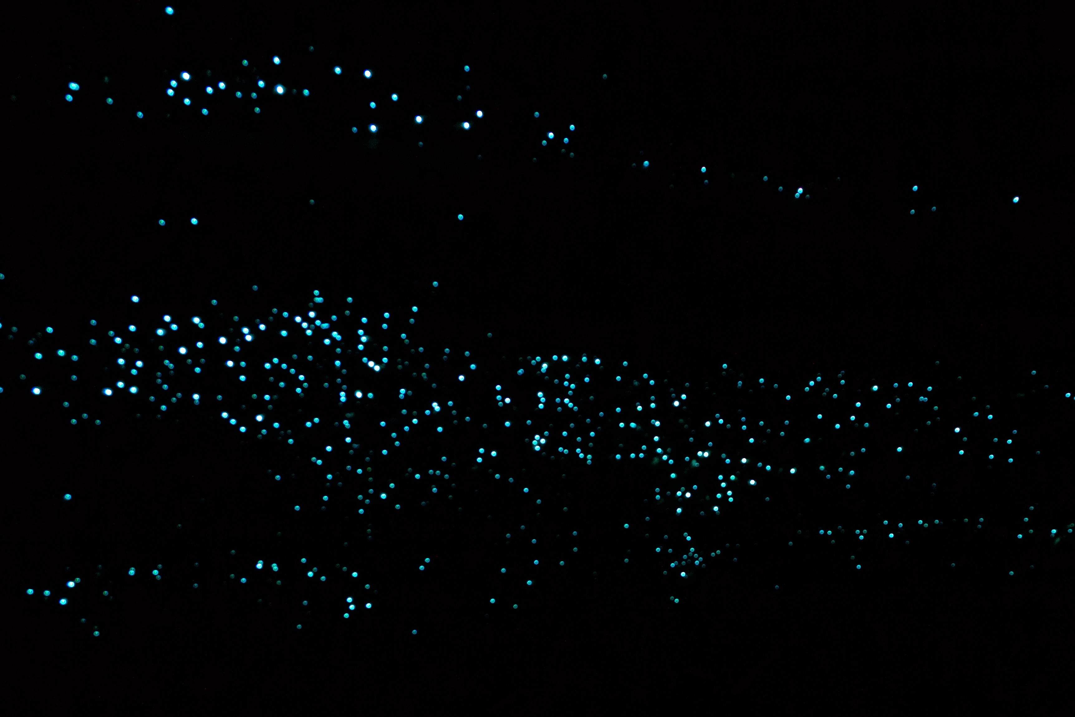 Read more about the article Constellations beneath your feet – New Zealand