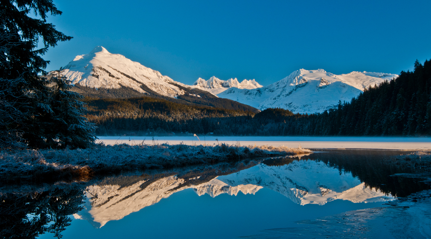 Alaskan-Air-Safari-02