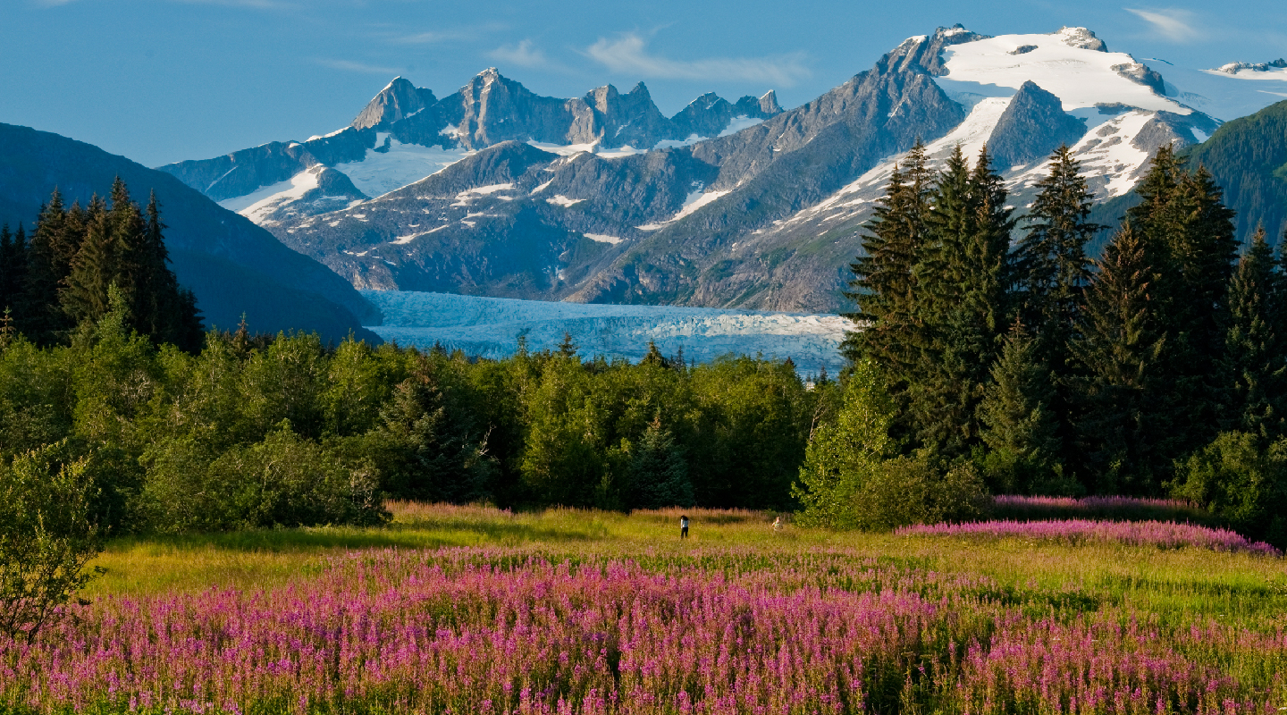 Alaskan-Air-Safari-03