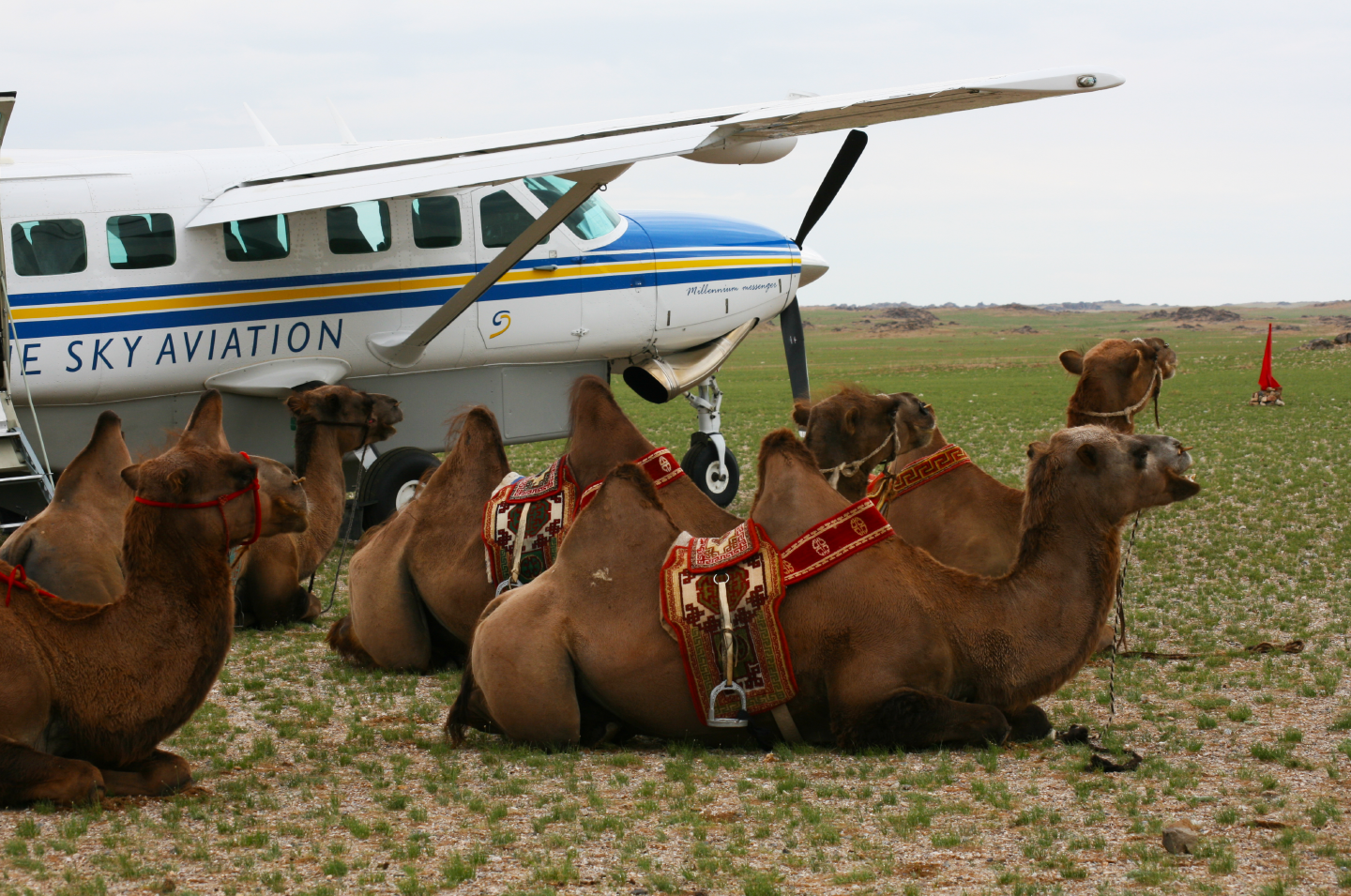 Mongolia-04