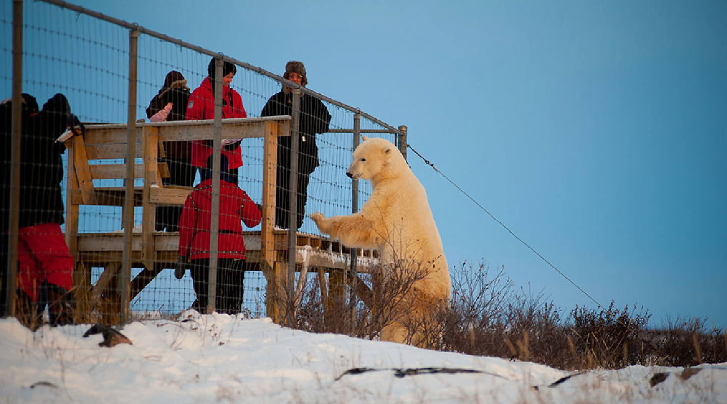 Photography-in-the-Artic-05