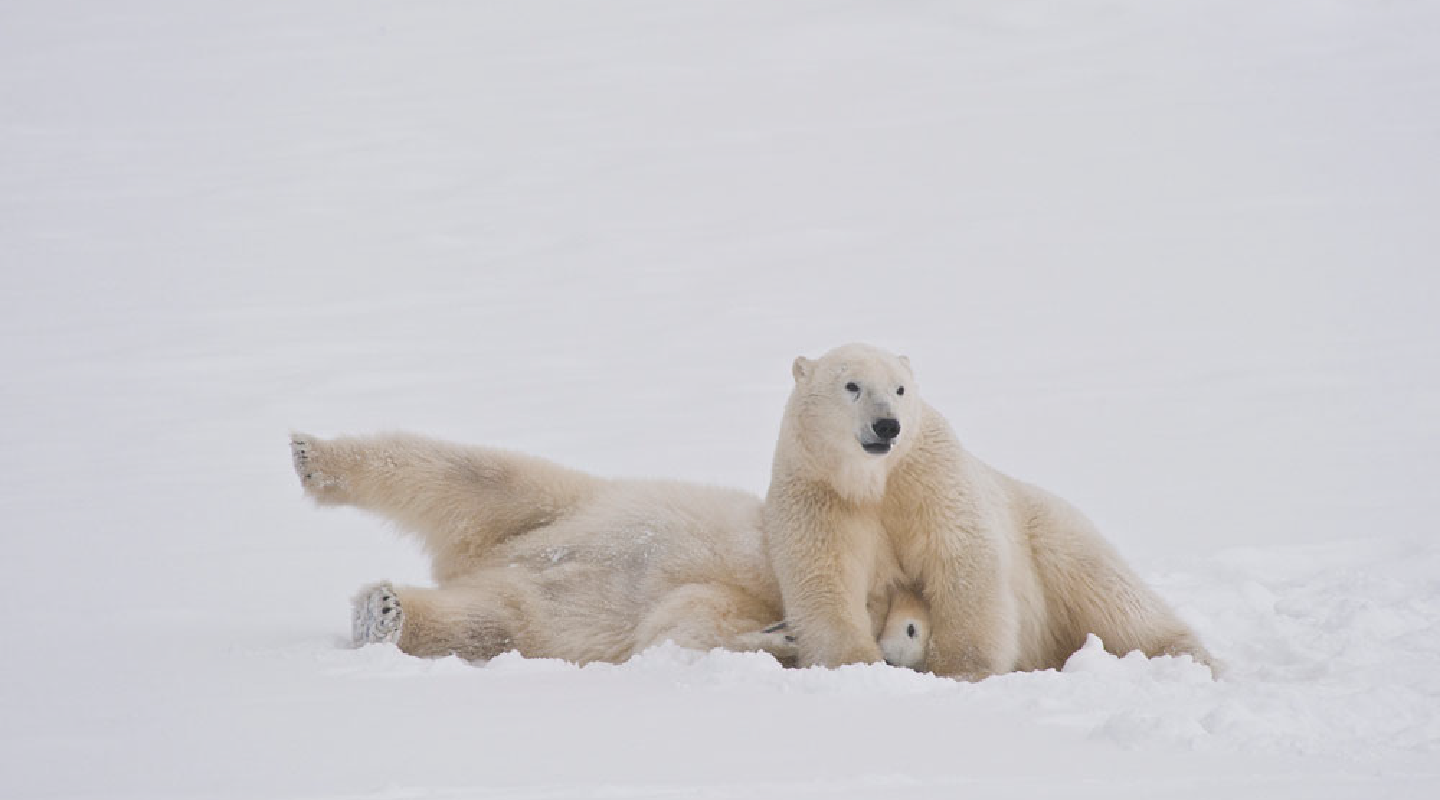 Photography-in-the-Artic-06