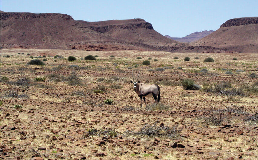 content-image-namibia-2