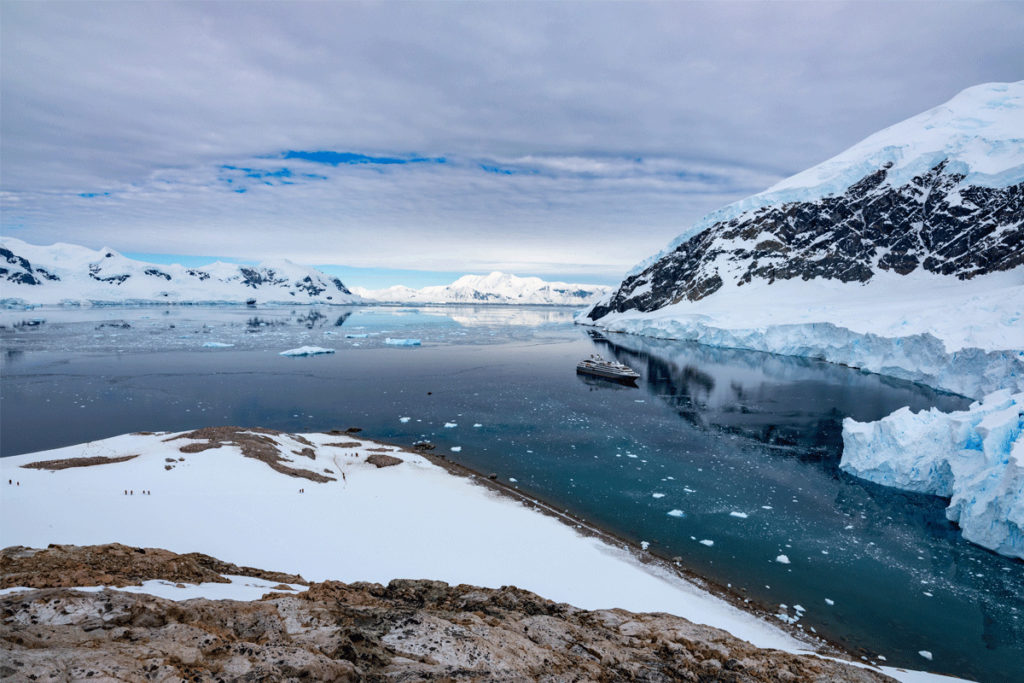 Arctic vs Antarctica - Cruising experience